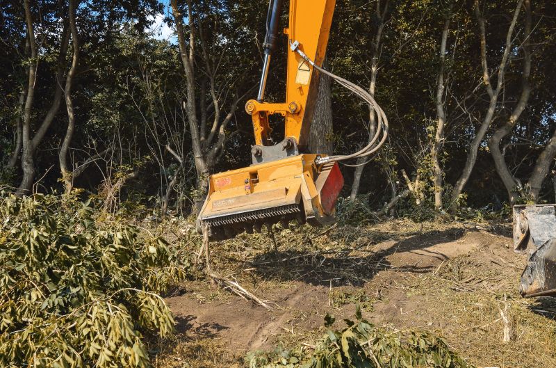Brush Land Clearing