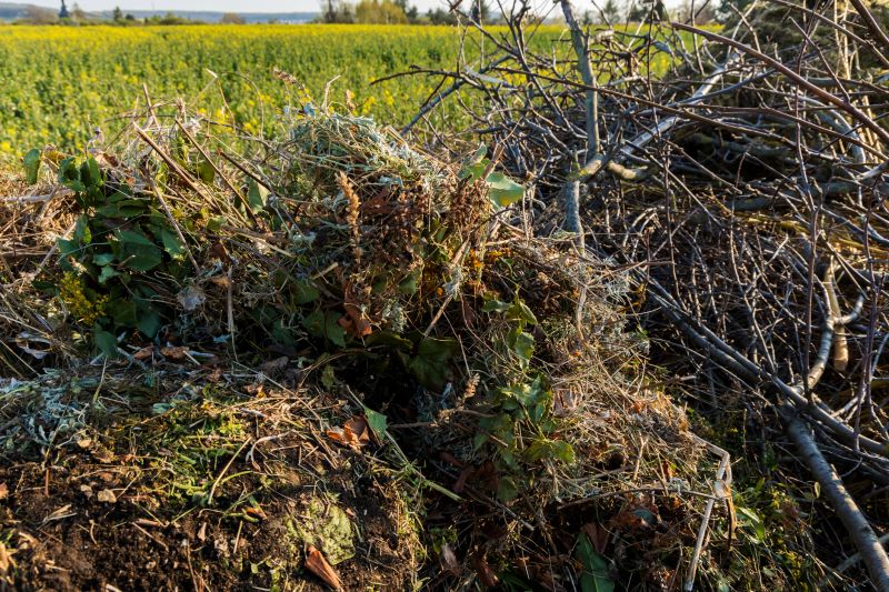 Brush Land Clearing