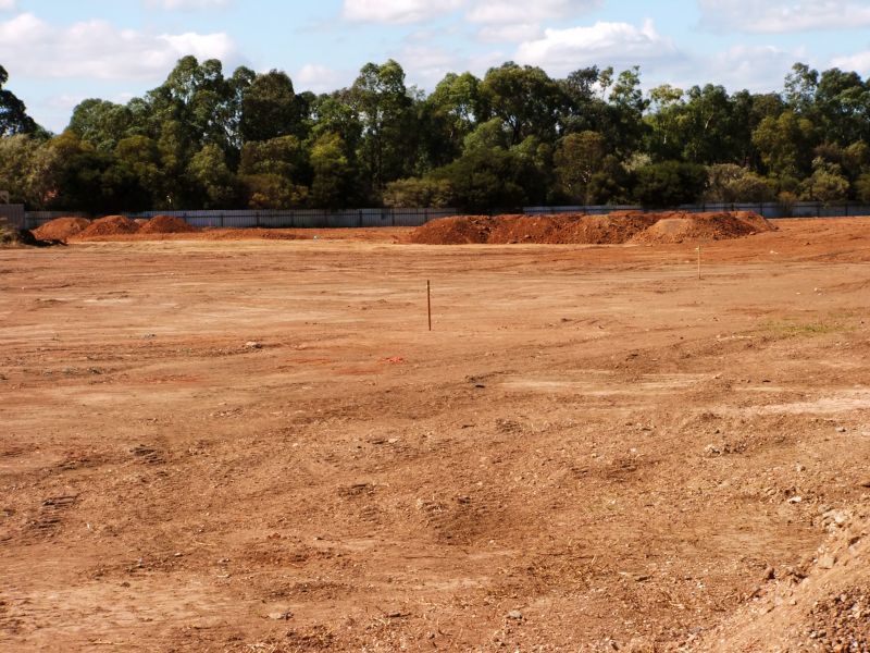 Site Clearing in Progress