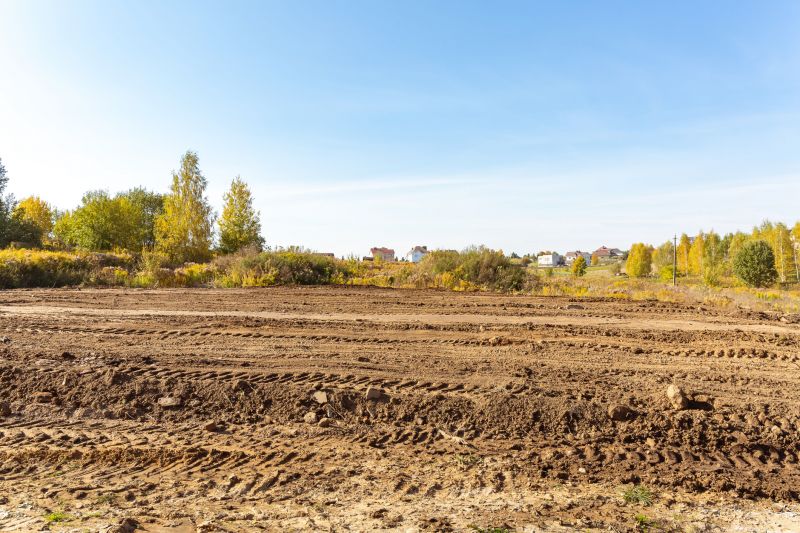 Slope Clearing in Gwinnett County, GA