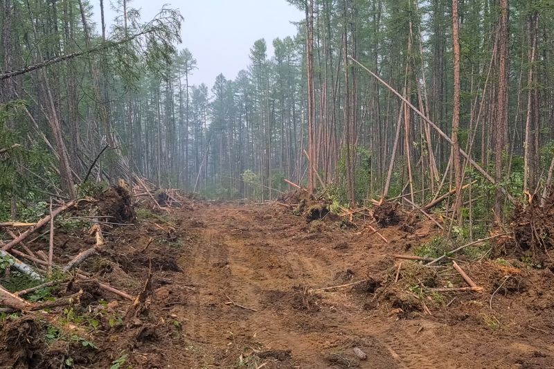 Slope Clearing in Katy, TX