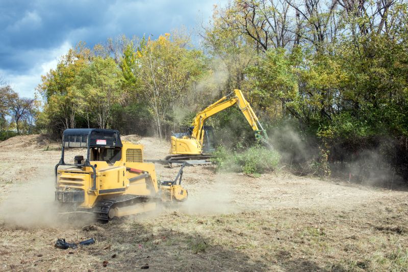 Slope Clearing in Utah County, UT