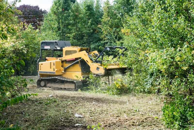 Thicket Clearing in Gwinnett County, GA